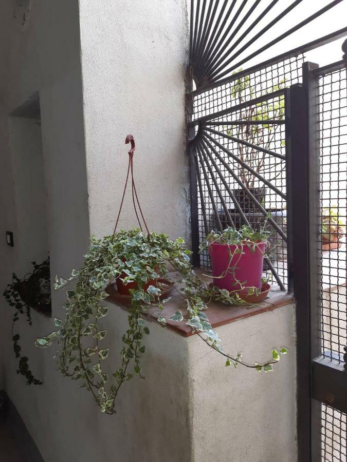 B&B Il Nespolo Salerno Zewnętrze zdjęcie